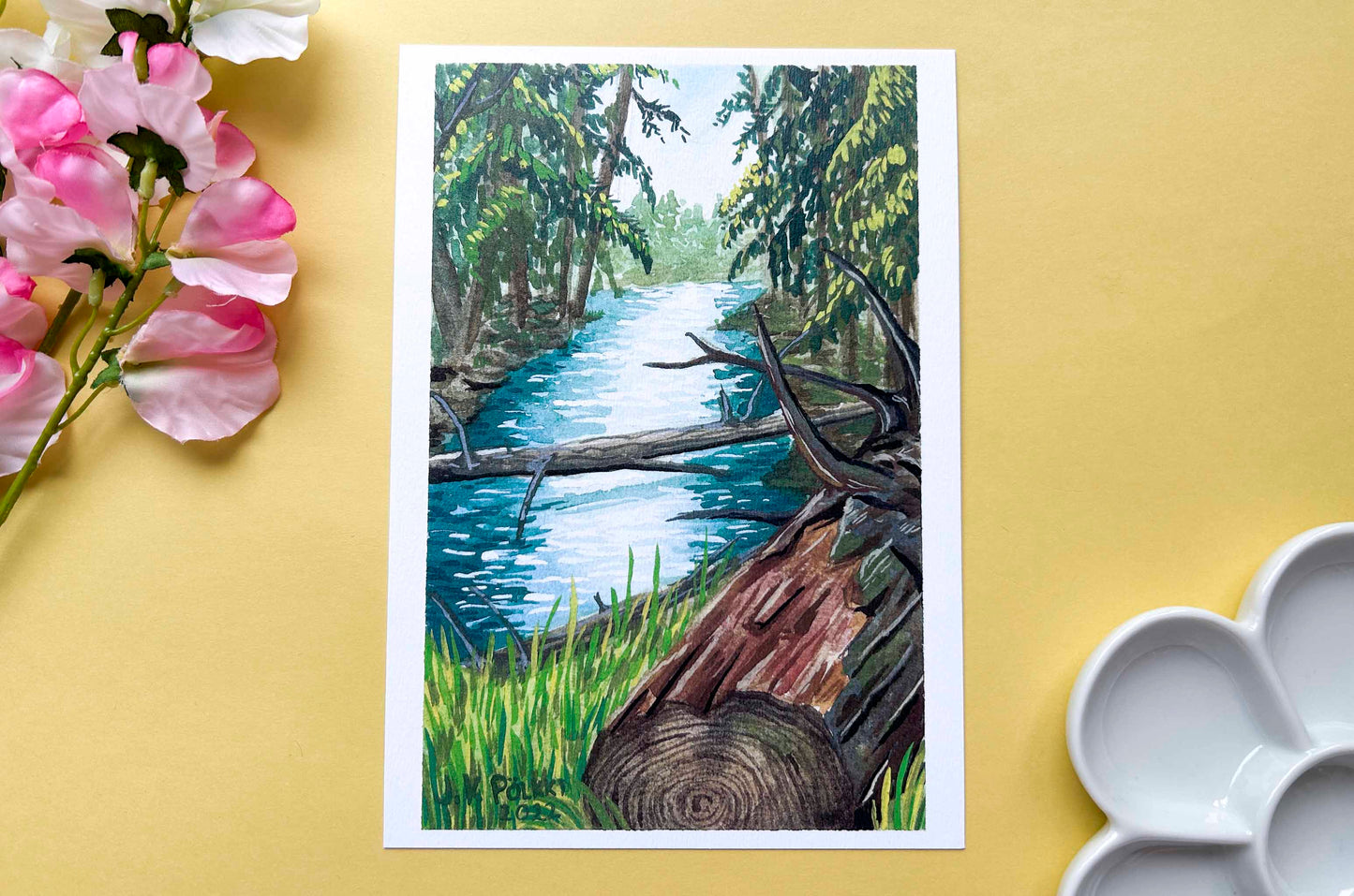 Peltolammi - A5 Taideprintti