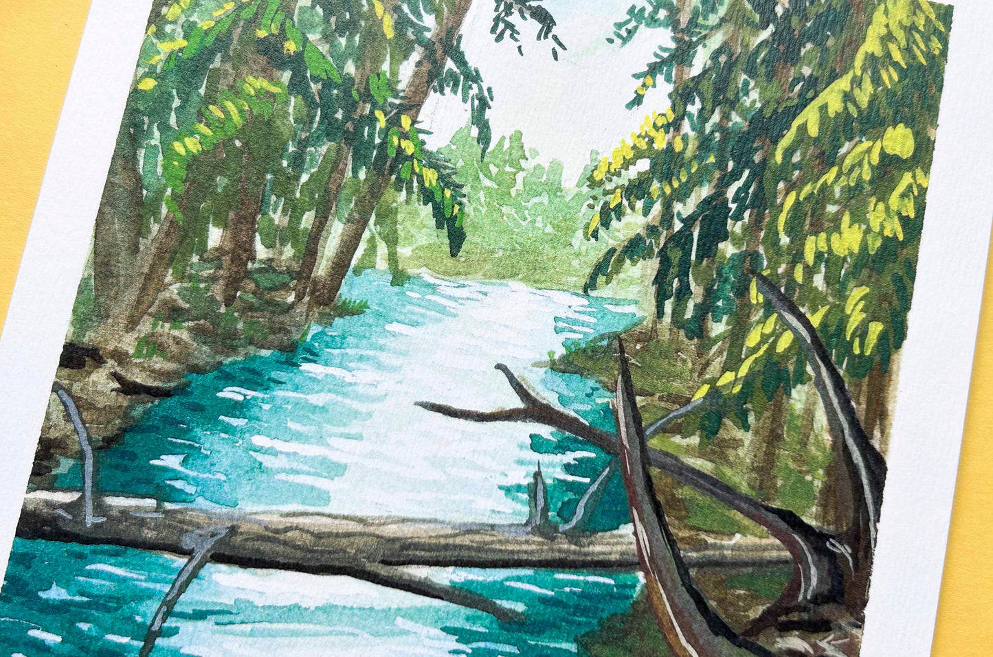 Peltolammi - A5 Taideprintti