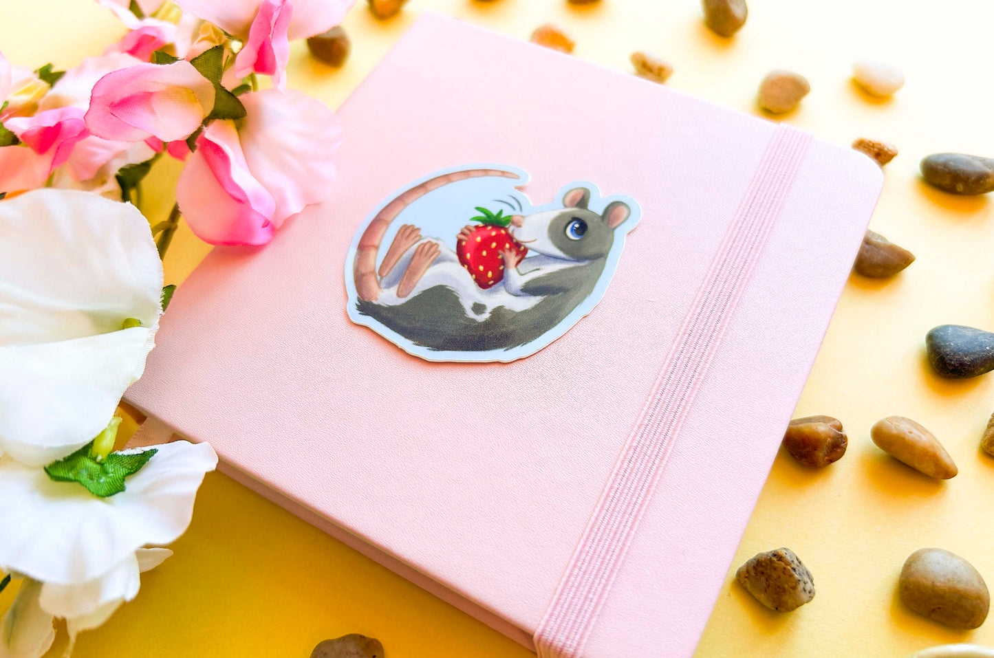 Rotta ja mansikka - Vinyylitarra