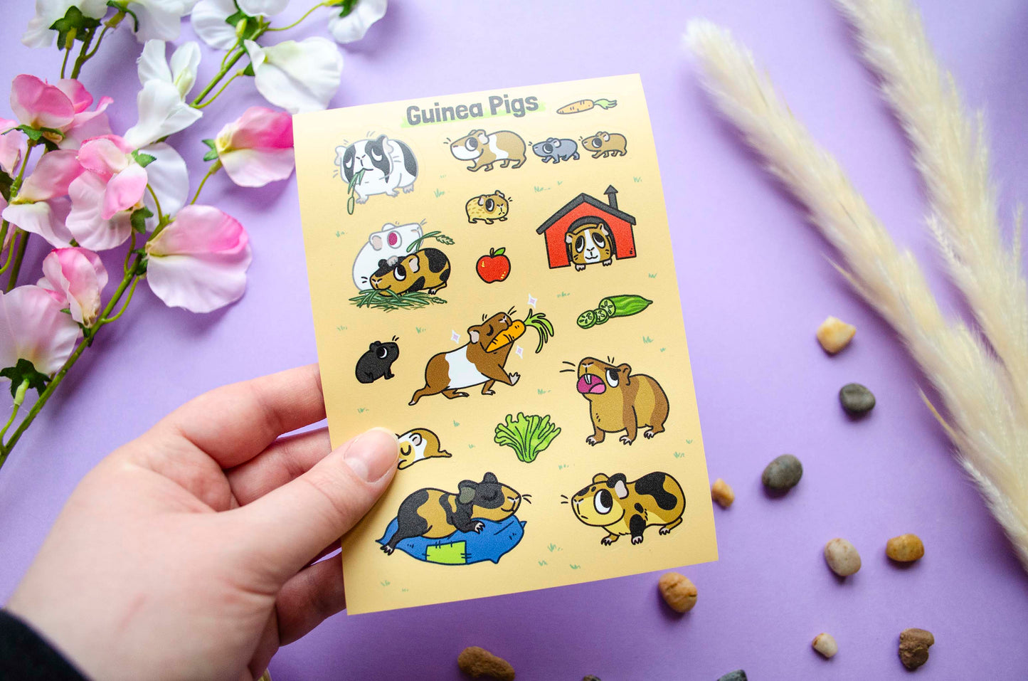 Guinea Pigs - Tarra-arkki