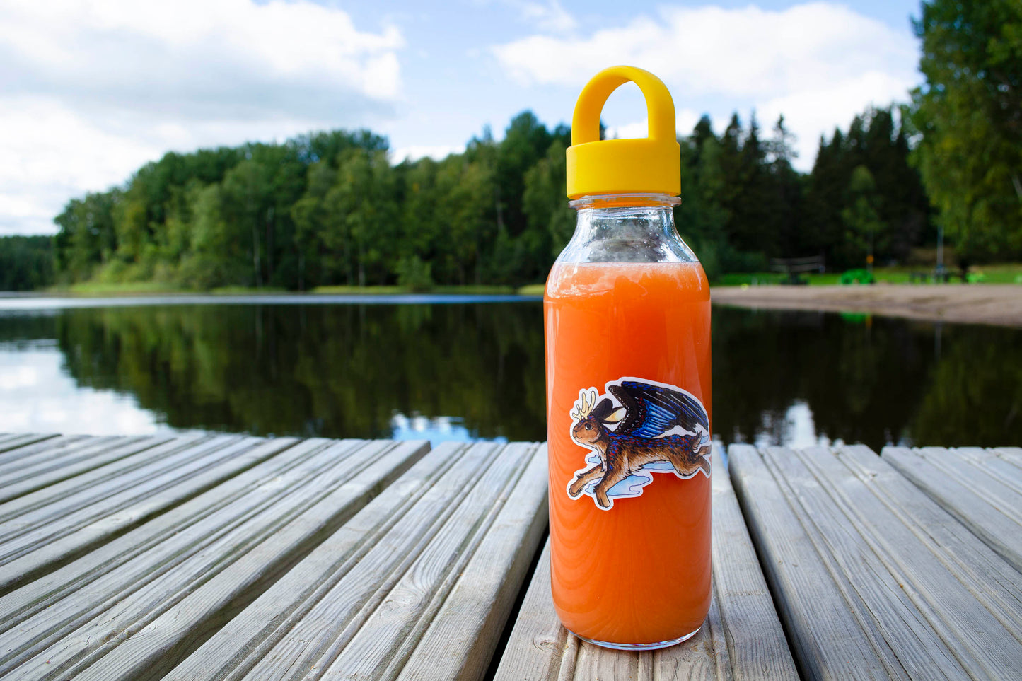 Flying Bunny - Vinyylitarra