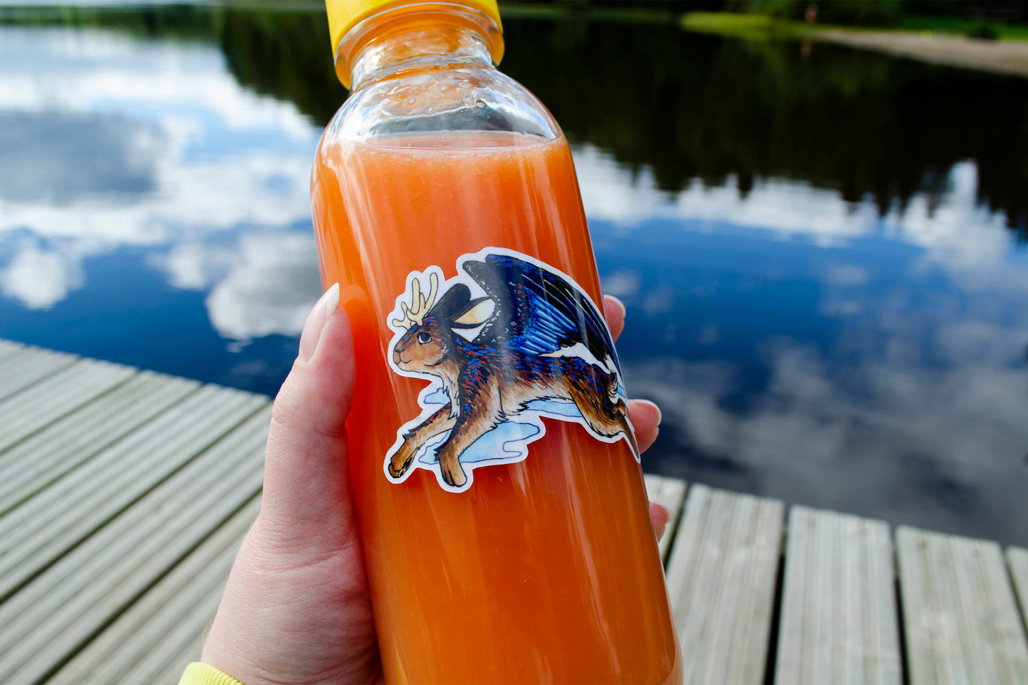 Flying Bunny - Vinyylitarra