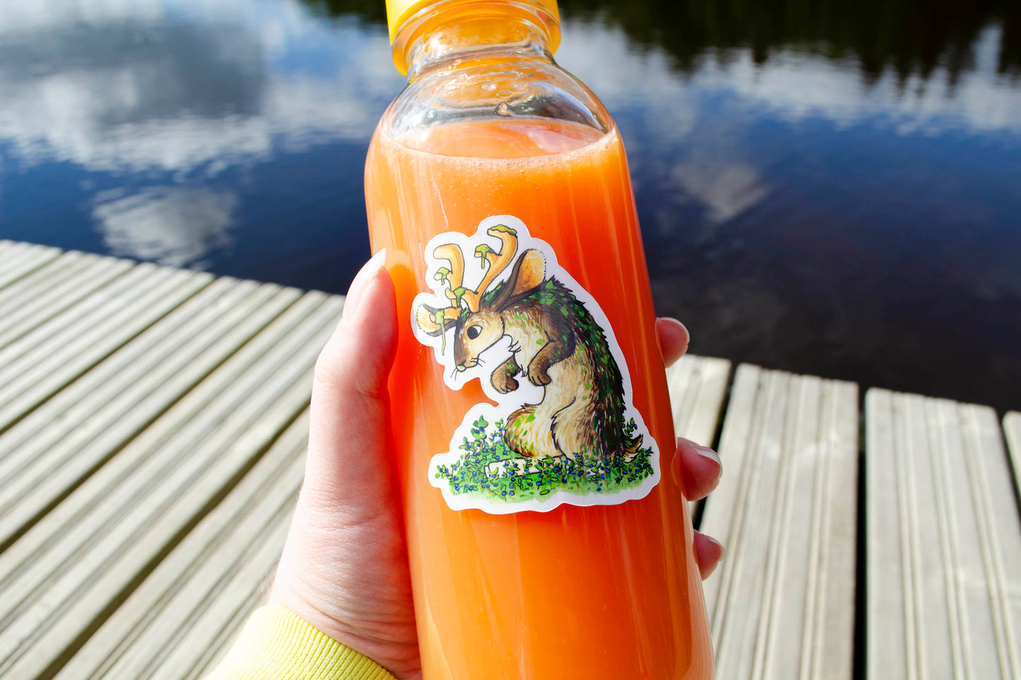 Forest Bunny - Vinyylitarra