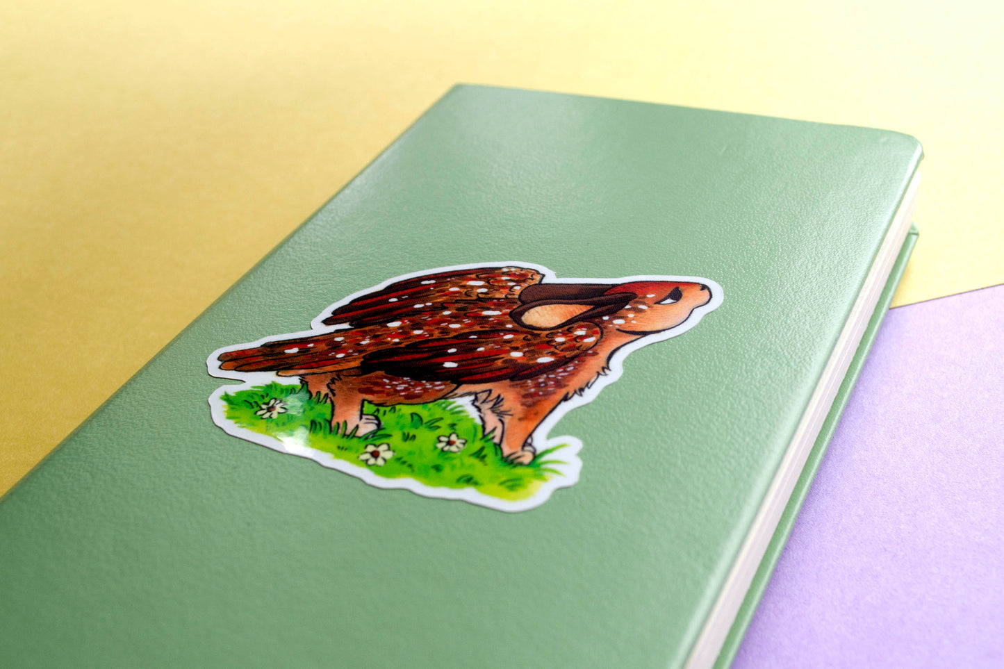 Shy Bunny - Vinyylitarra