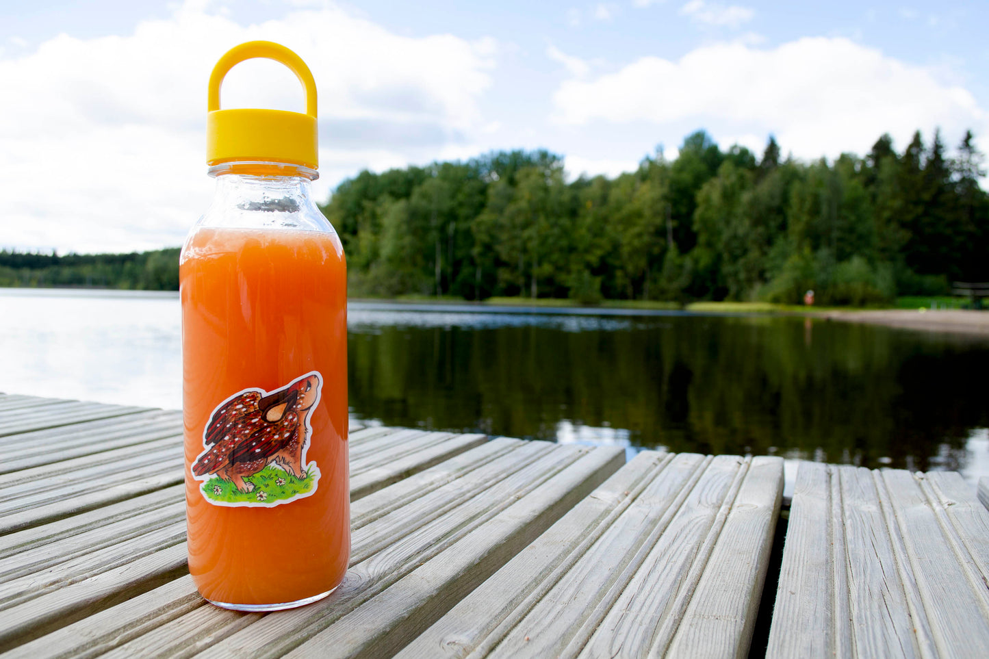 Shy Bunny - Vinyylitarra