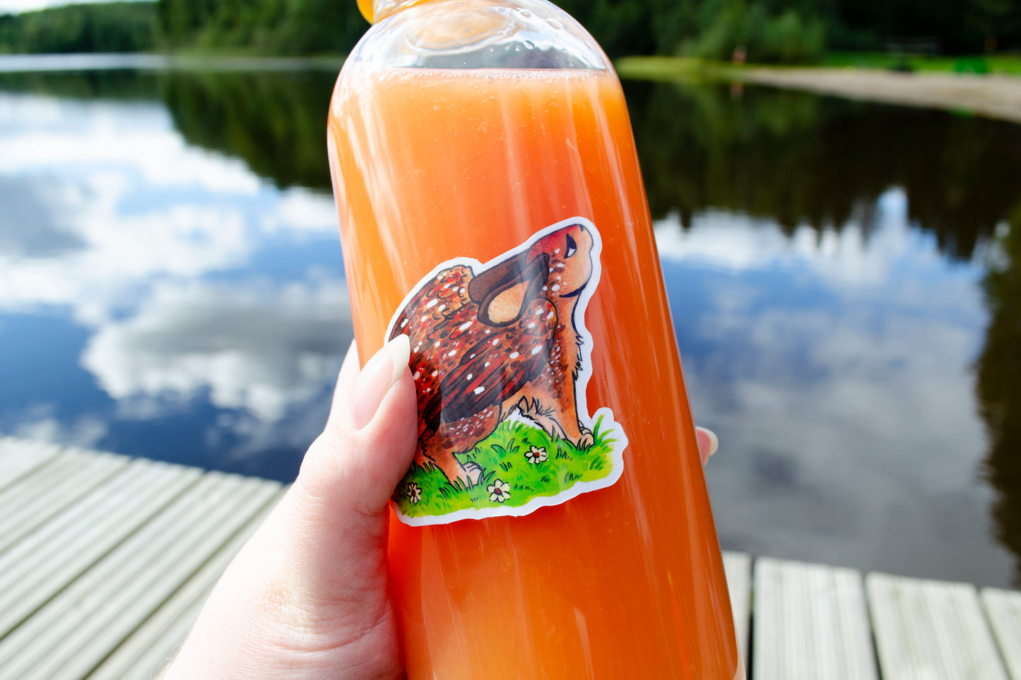 Shy Bunny - Vinyylitarra