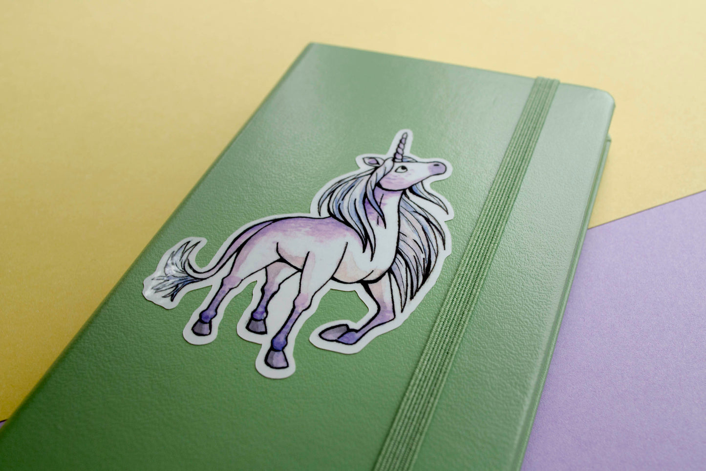 Unicorn - Vinyylitarra