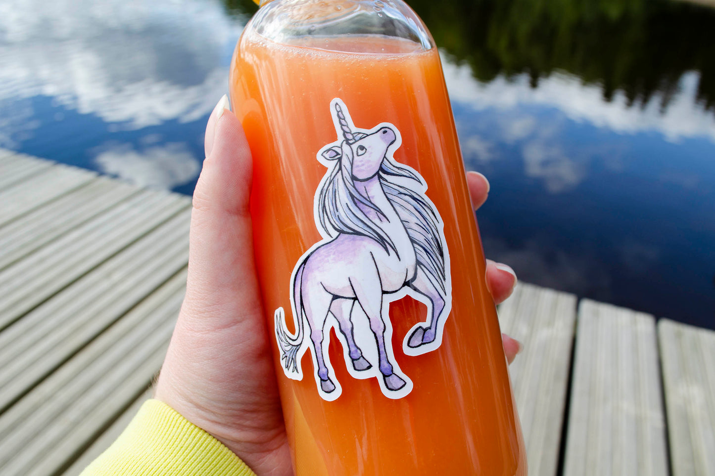 Unicorn - Vinyylitarra