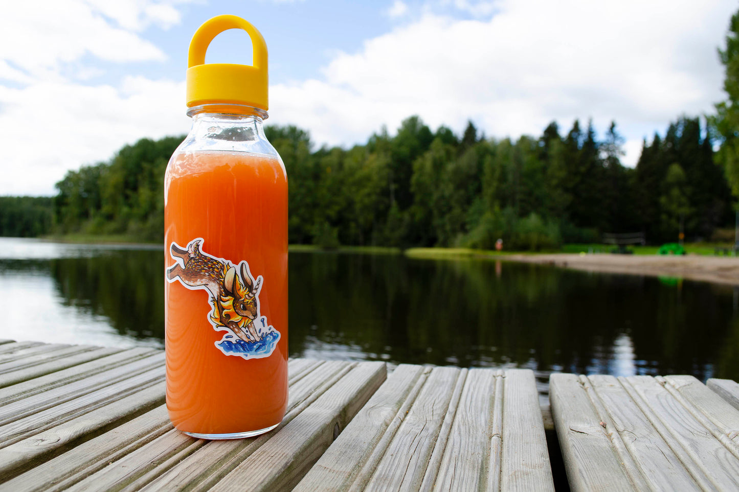 Water Bunny - Vinyylitarra