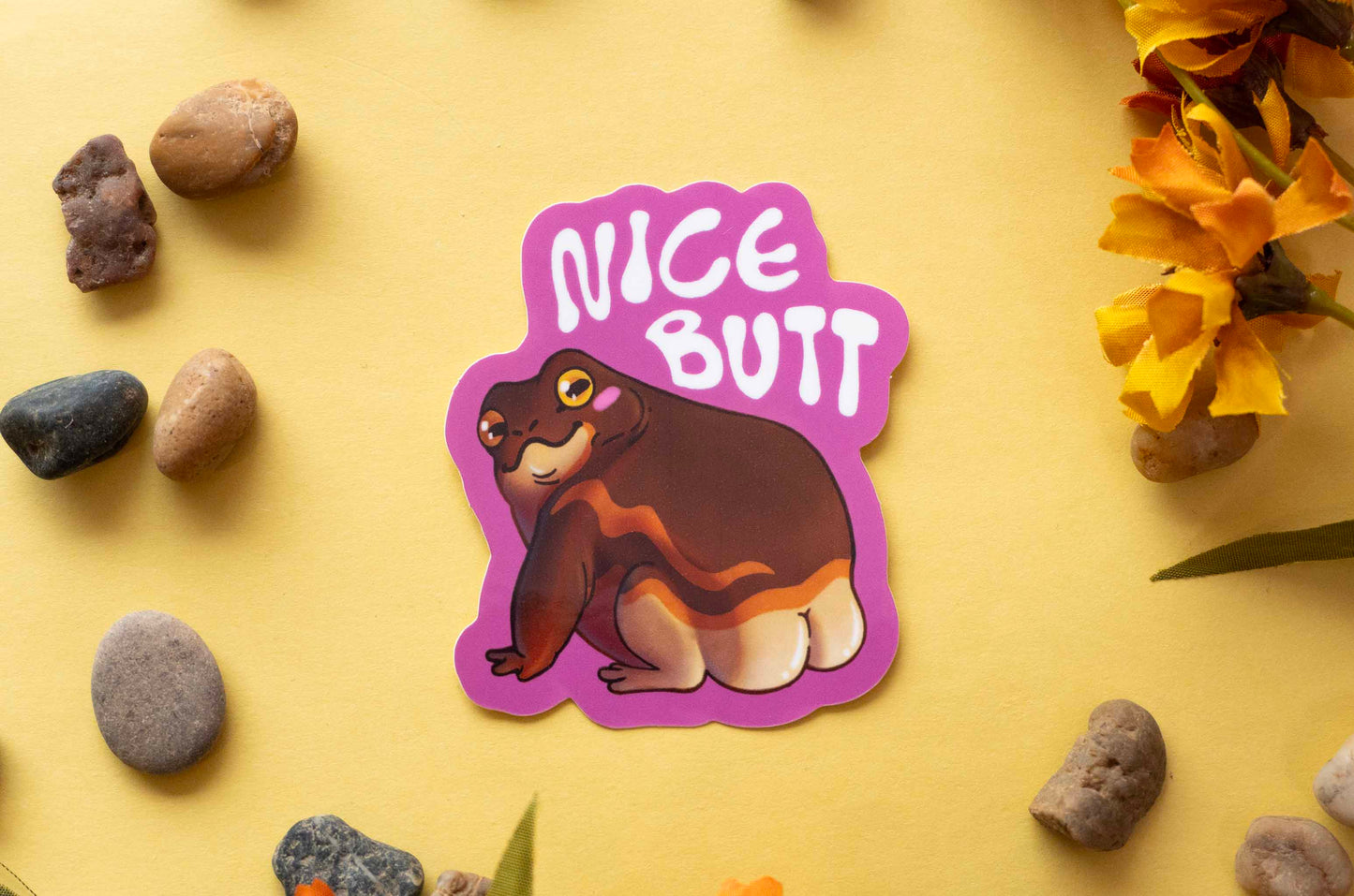 Nice Butt - Pylly Sammakko Vinyylitarra