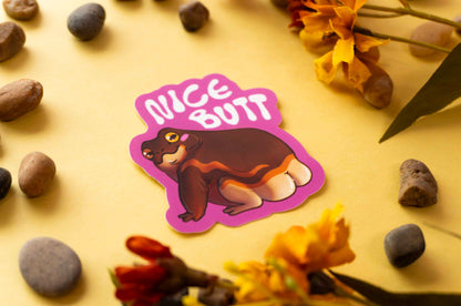 Nice Butt - Pylly Sammakko Vinyylitarra