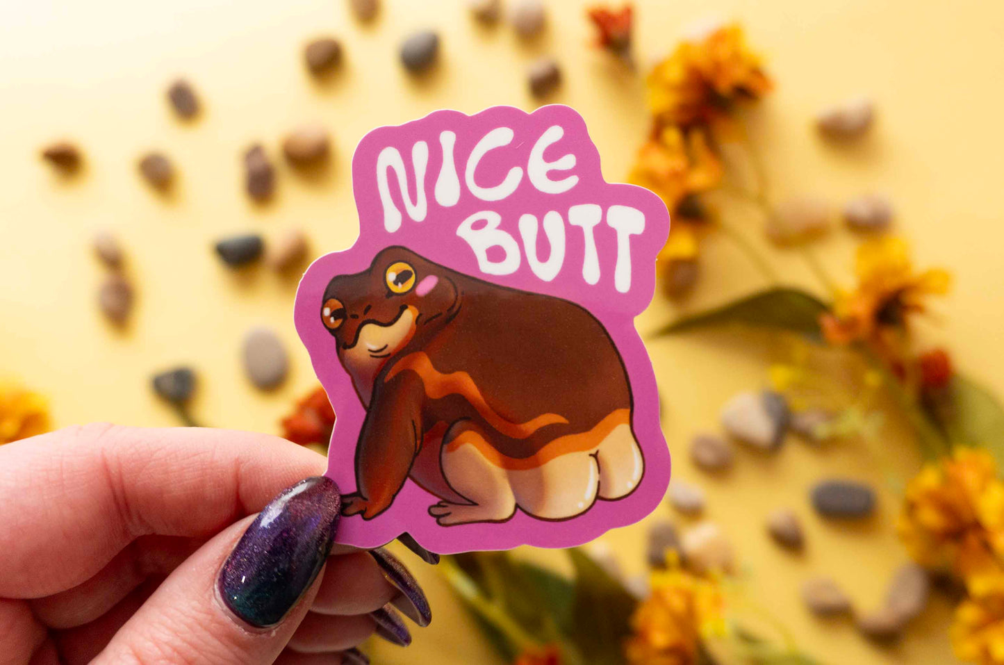 Nice Butt - Pylly Sammakko Vinyylitarra