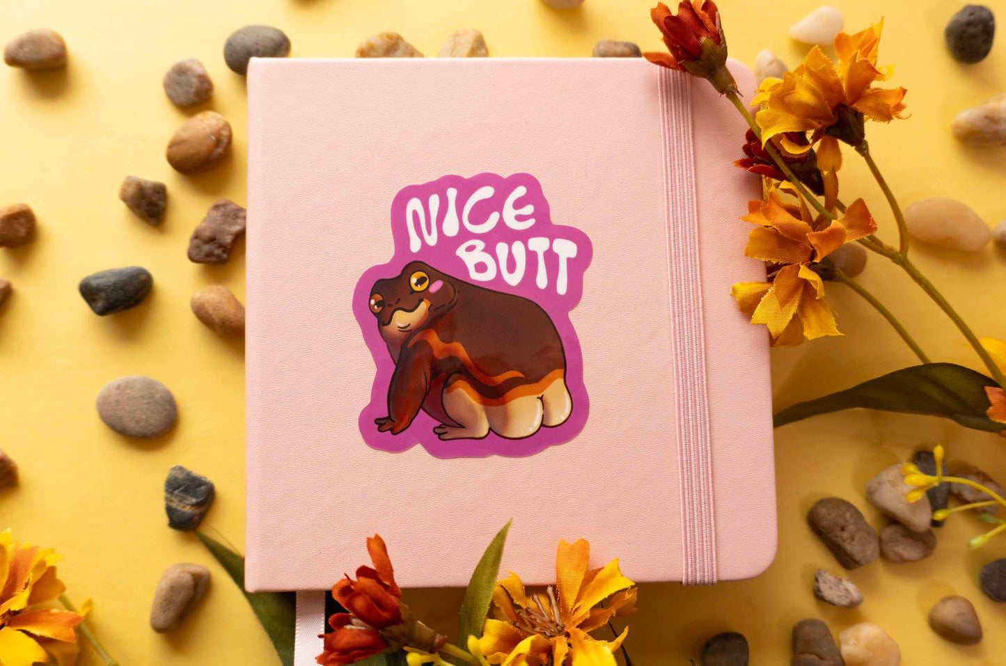 Nice Butt - Pylly Sammakko Vinyylitarra