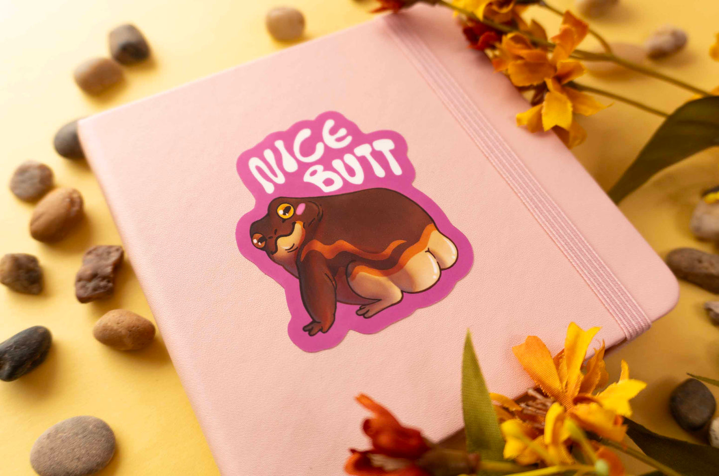 Nice Butt - Pylly Sammakko Vinyylitarra